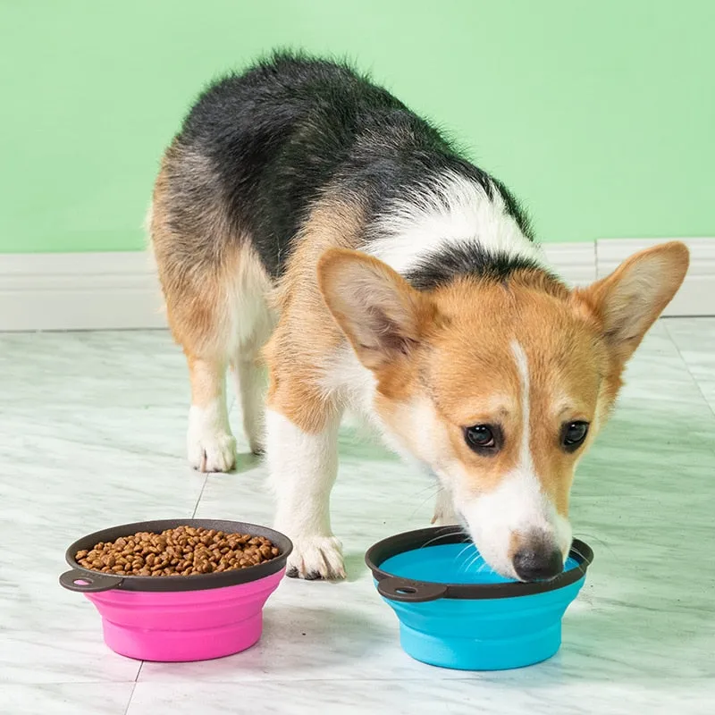 350ml 1000ml Dog Collapsible Bowl