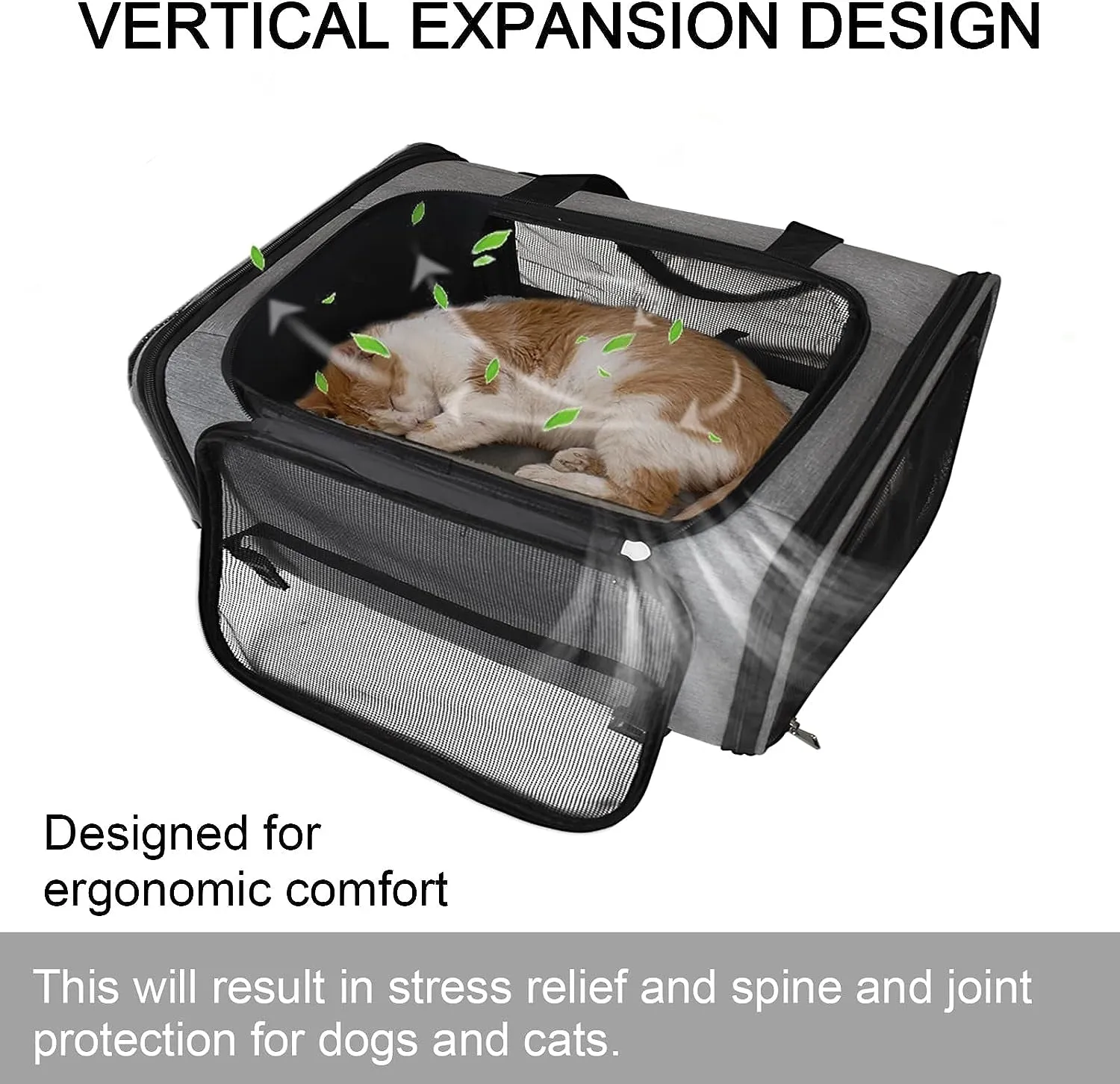 Airline Approved Expandable Pet Carrier Backpack with Wheels