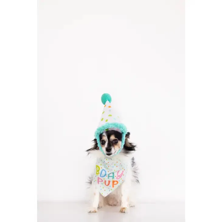 Birthday Dog Pup S/M Bandana Hat Set