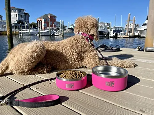 Black Rhino Dura Bowl 42 Oz Insulated Stainless Steel Dog Small to Large Pink
