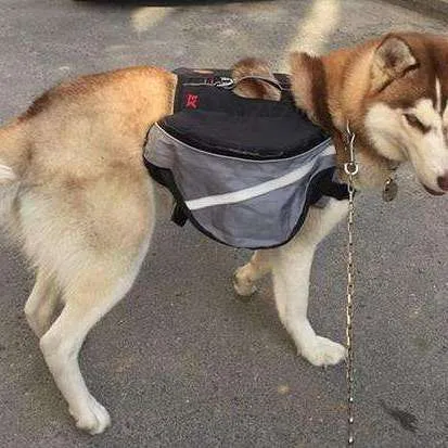 Canine Trek Saddle Bag