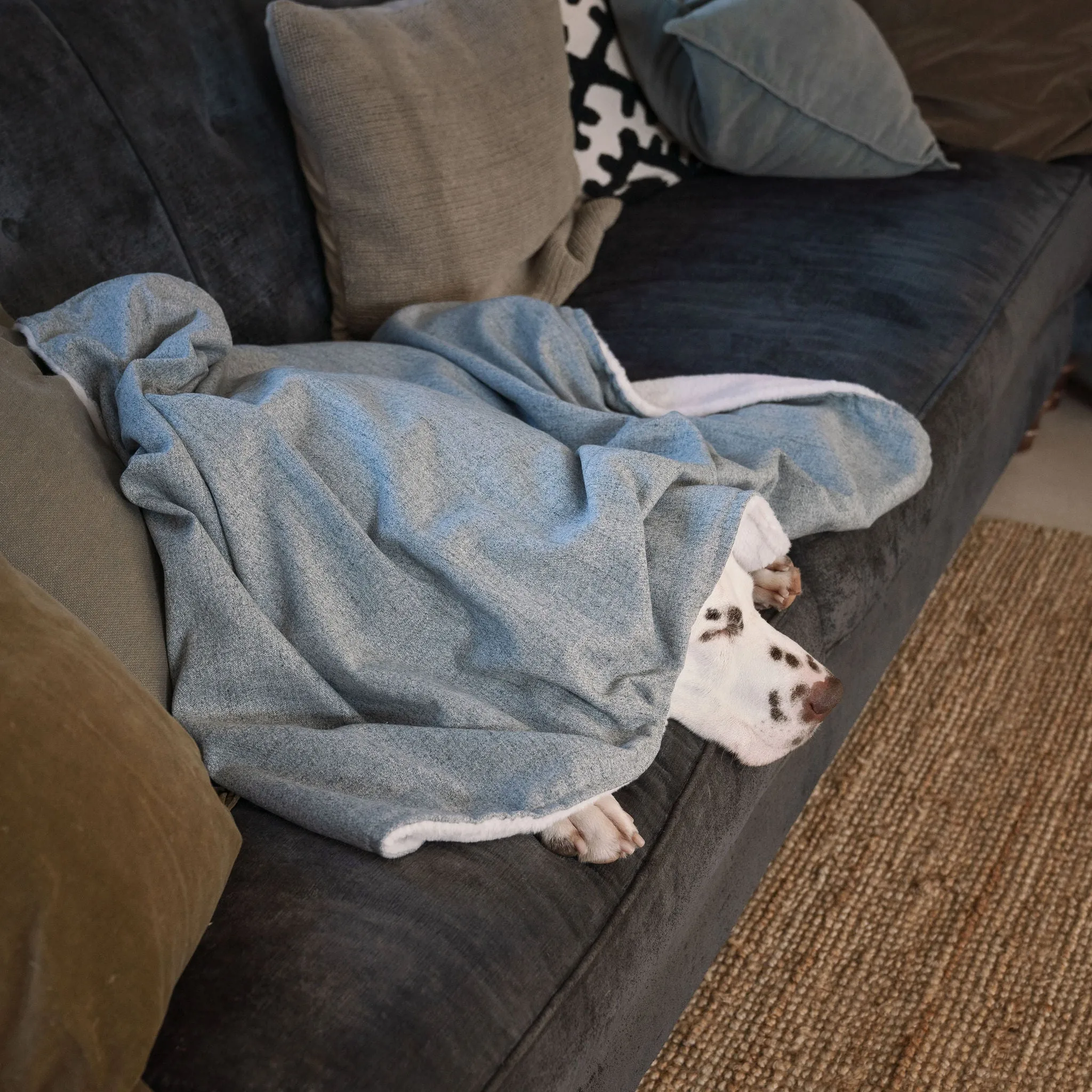 Dog & Puppy Blanket in Inchmurrin Iceberg by Lords & Labradors