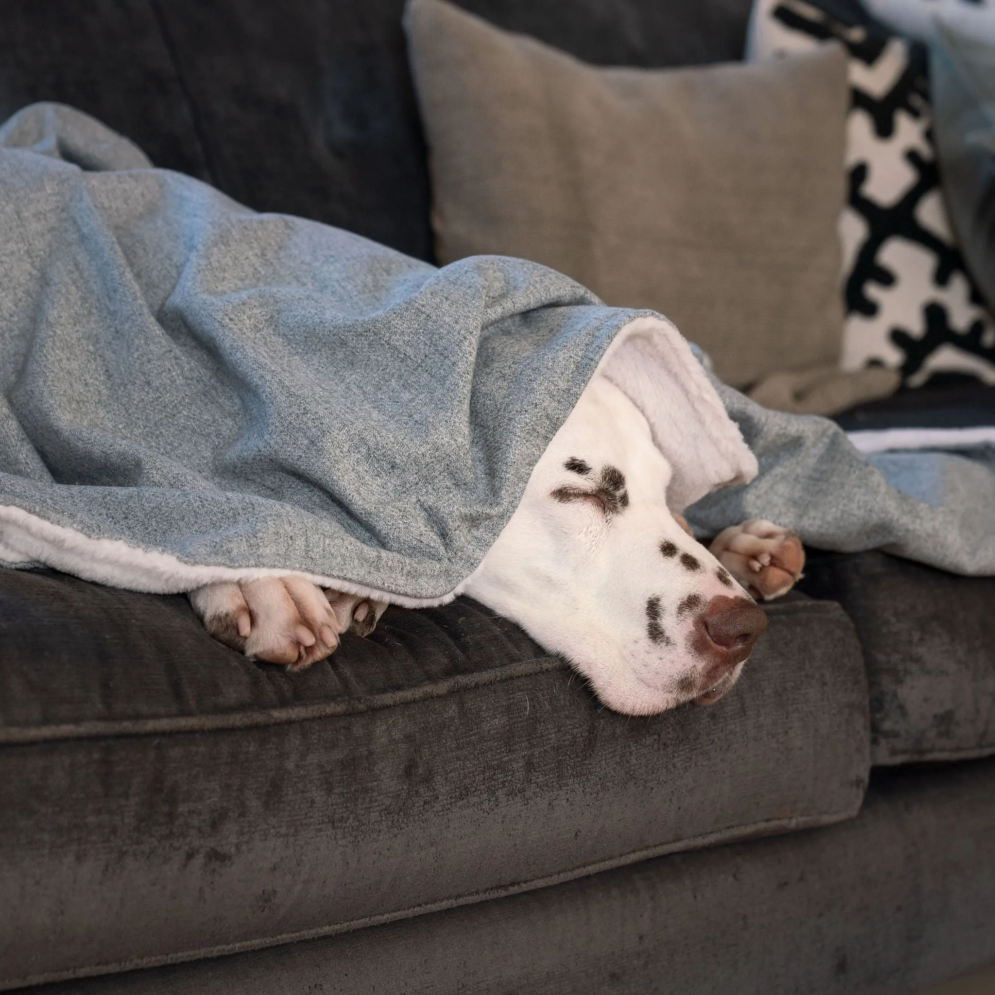 Dog & Puppy Blanket in Inchmurrin Iceberg by Lords & Labradors