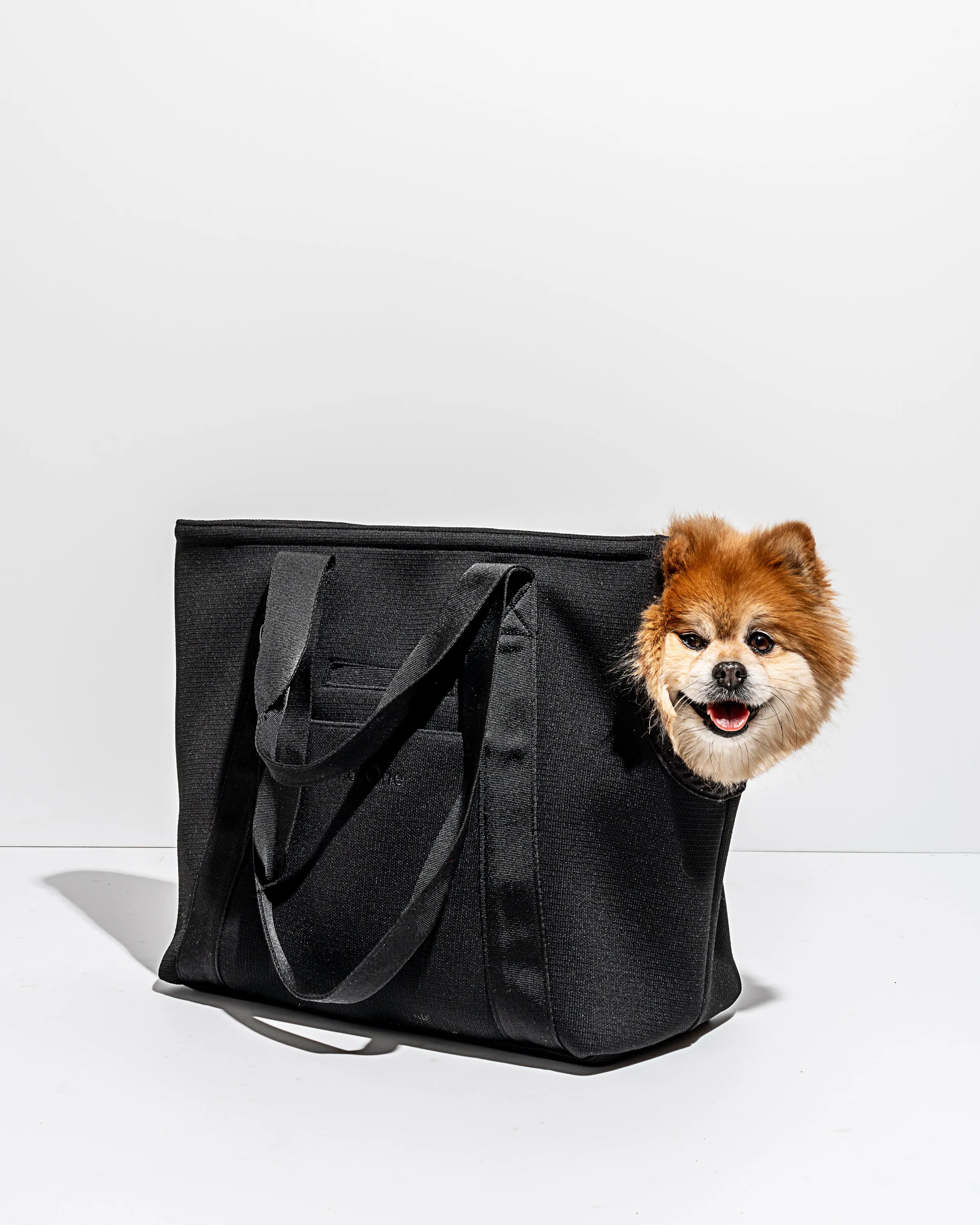 Everyday Carrier, Black