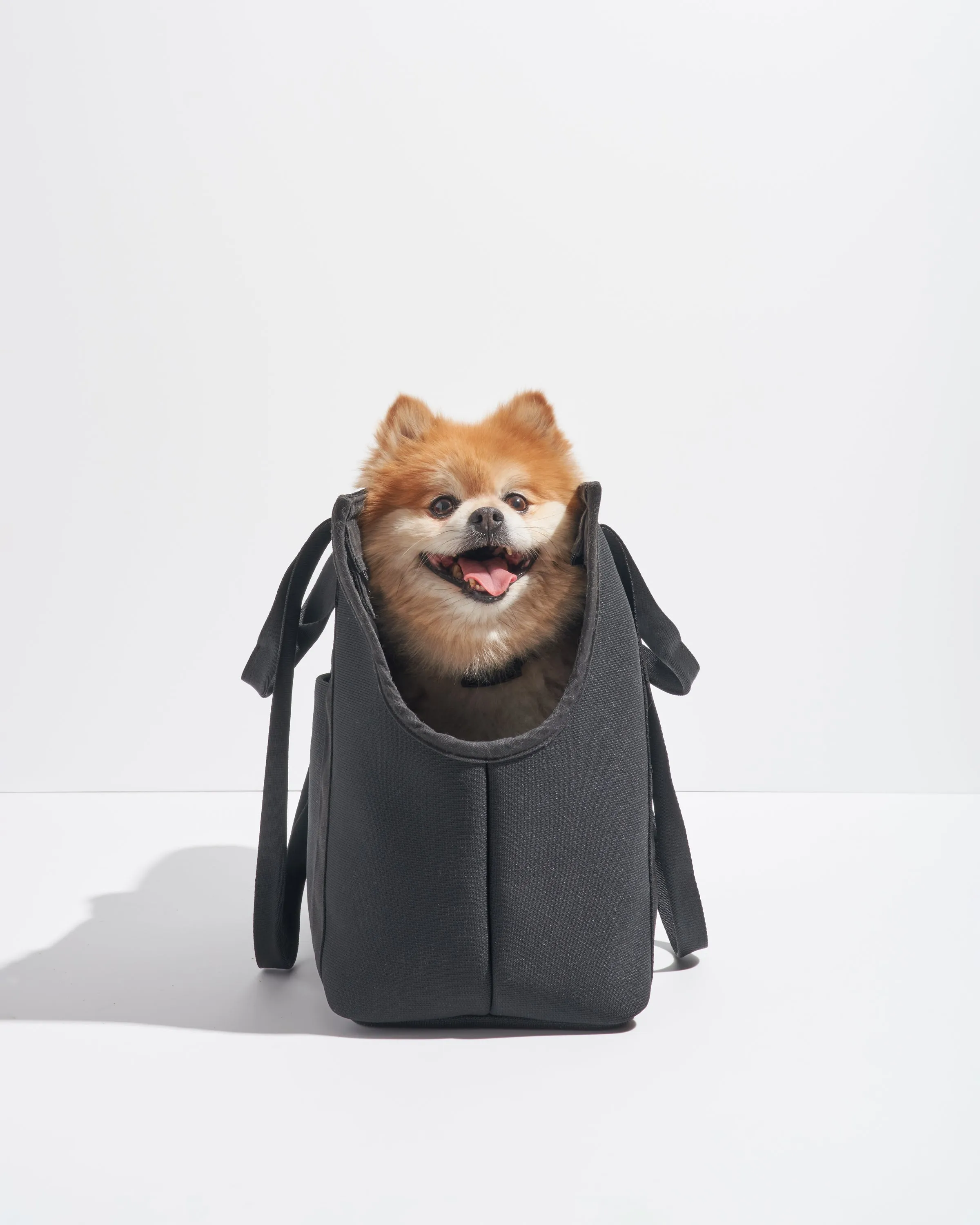 Everyday Carrier, Black