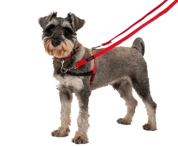 Halti Training Dog Lead (2 colours)