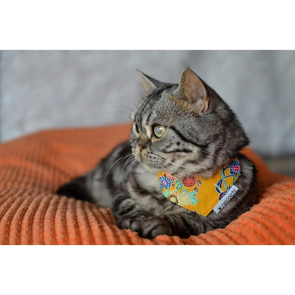 Necoichi Bandana Cat Collar with Air Tag Pocket Yukata Yellow