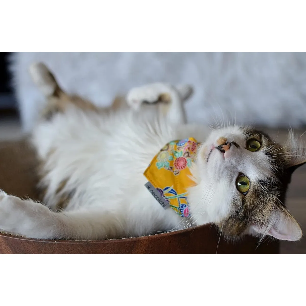 Necoichi Bandana Cat Collar with Air Tag Pocket Yukata Yellow
