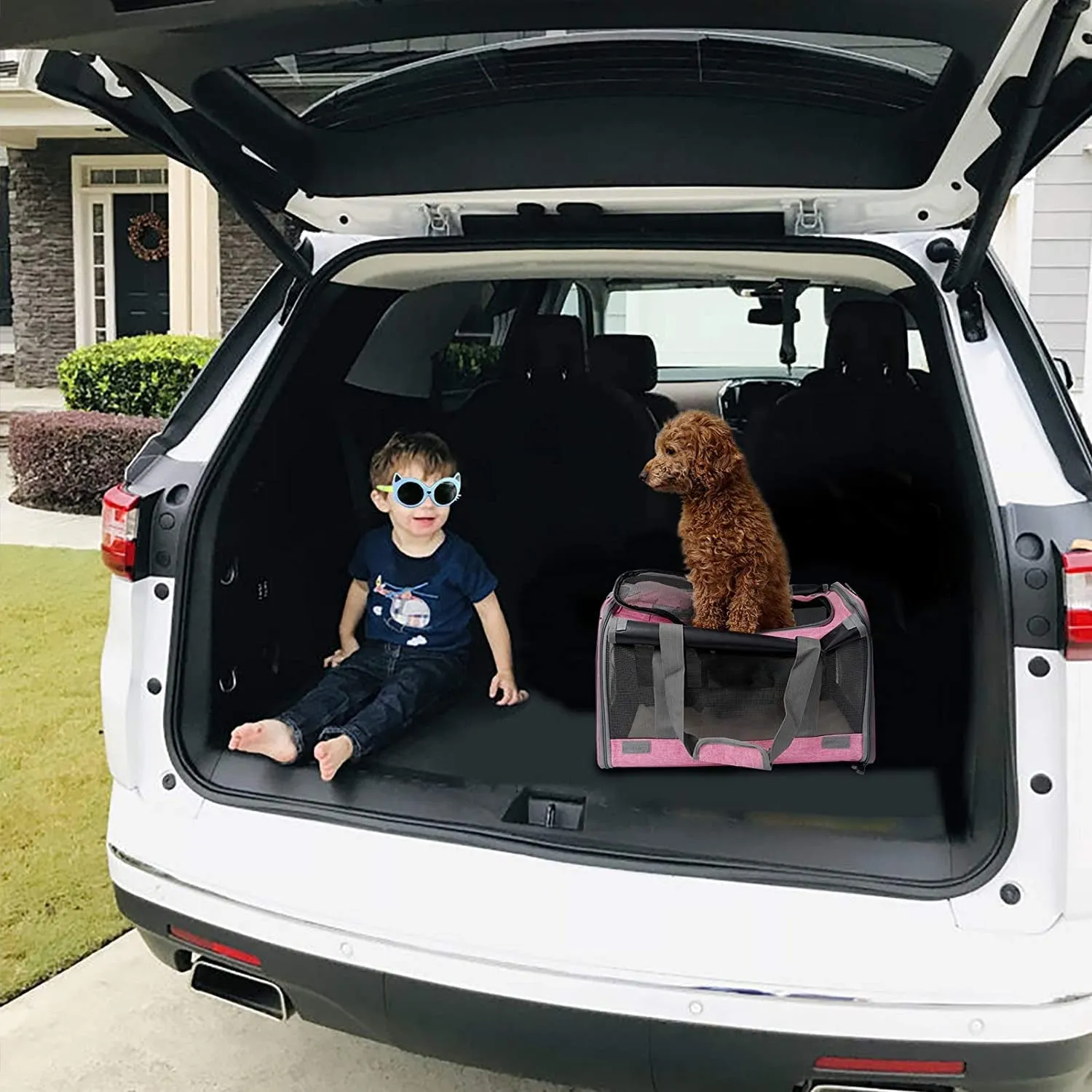 Pet Privacy Protection Travel Carrier