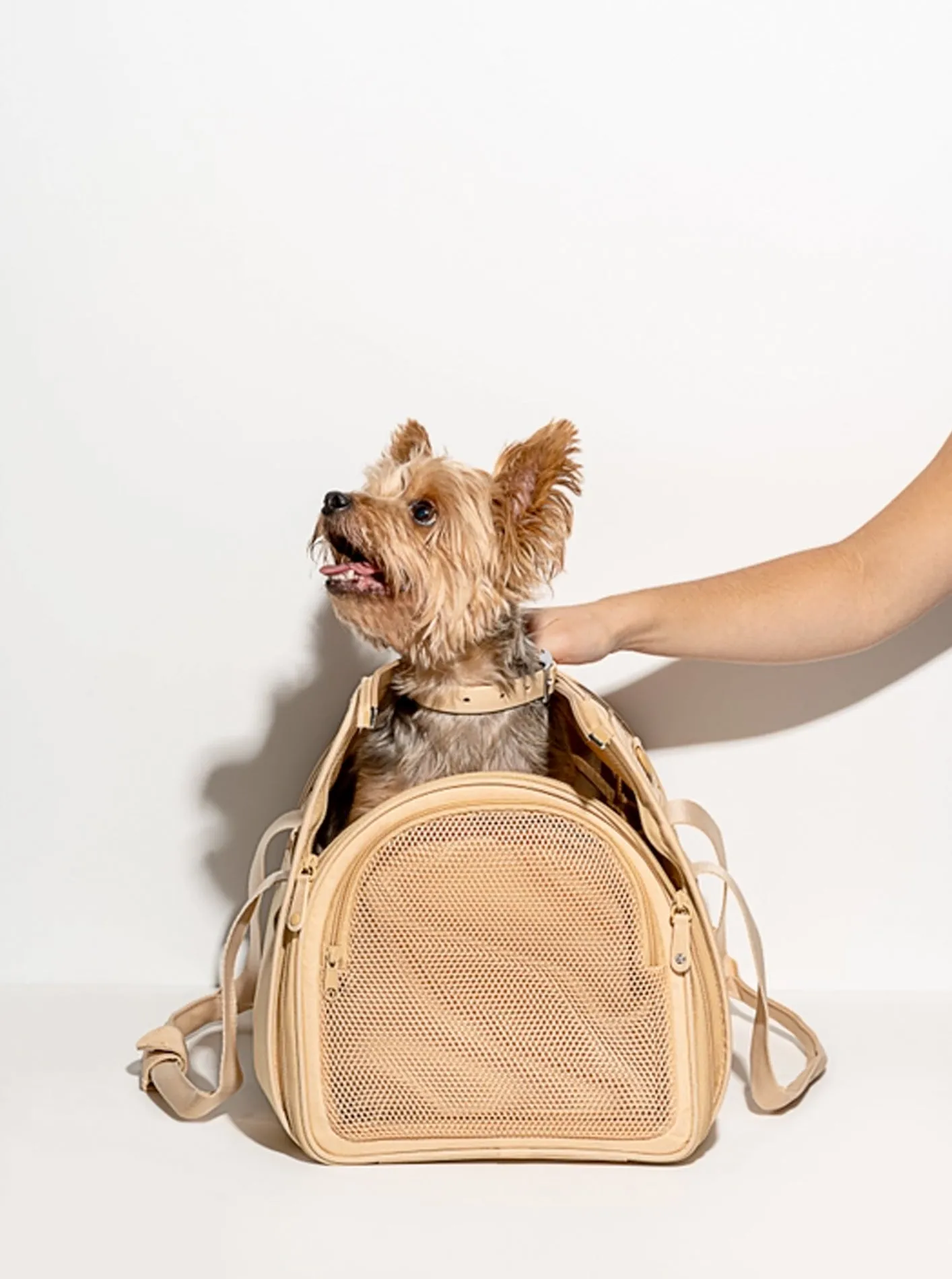 TRAVEL CARRIER by Wild One