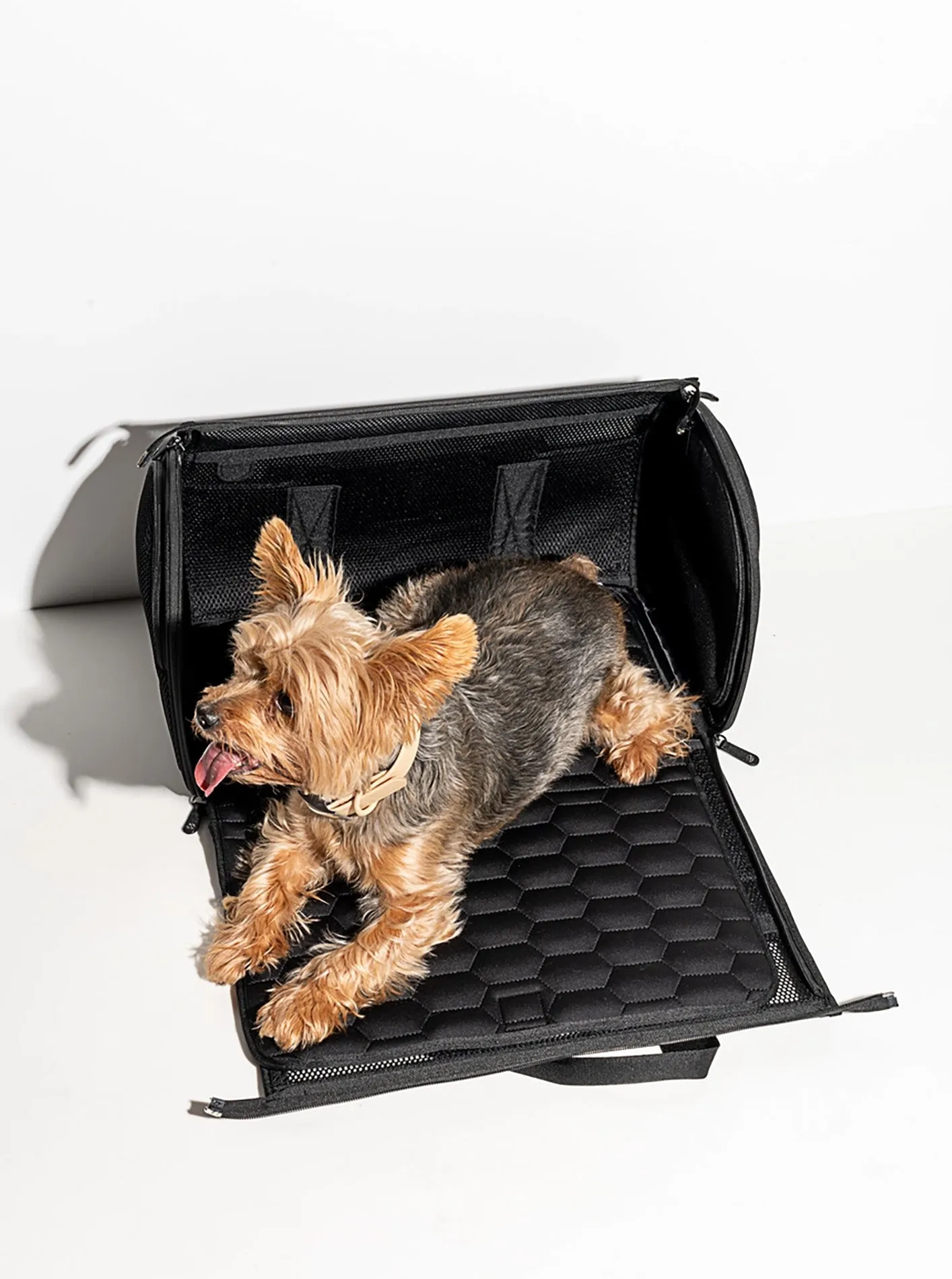 TRAVEL CARRIER by Wild One