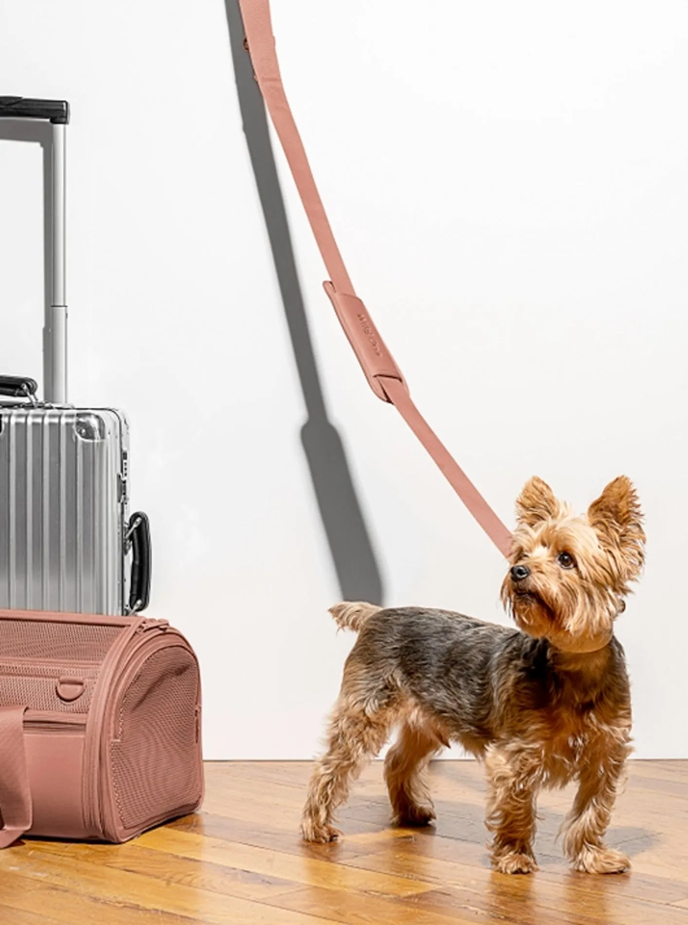 TRAVEL CARRIER by Wild One
