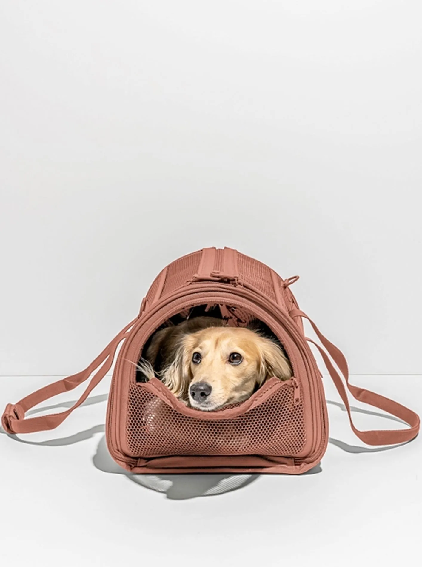 TRAVEL CARRIER by Wild One