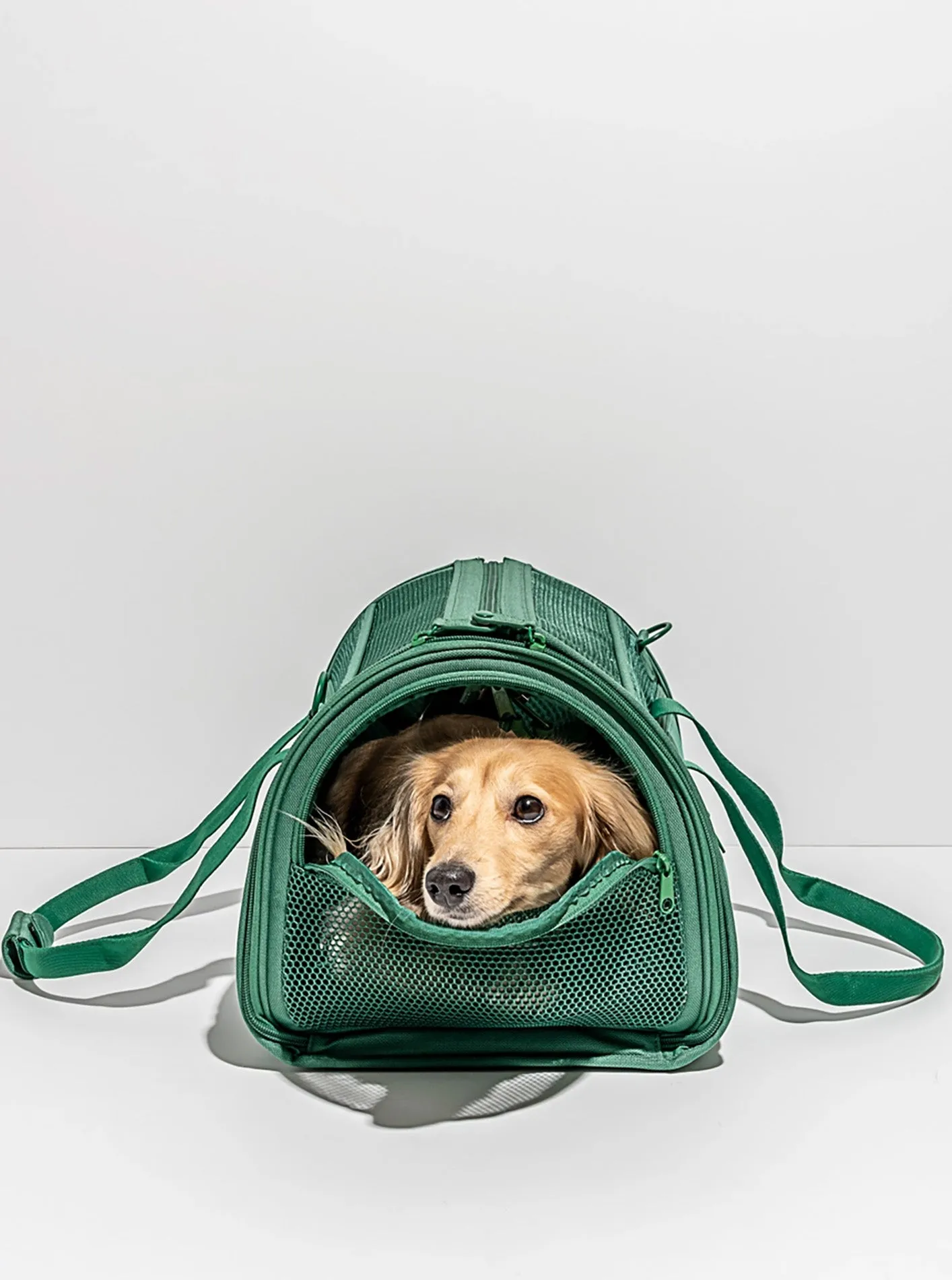TRAVEL CARRIER by Wild One