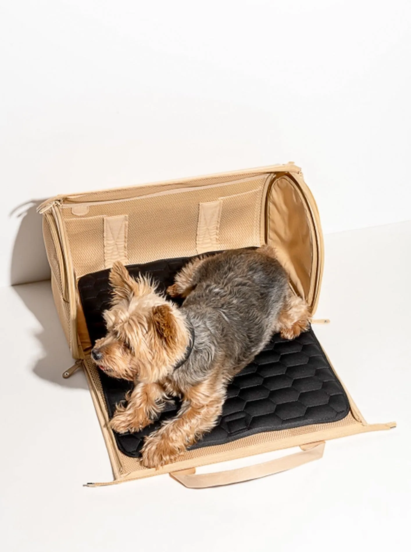 TRAVEL CARRIER by Wild One